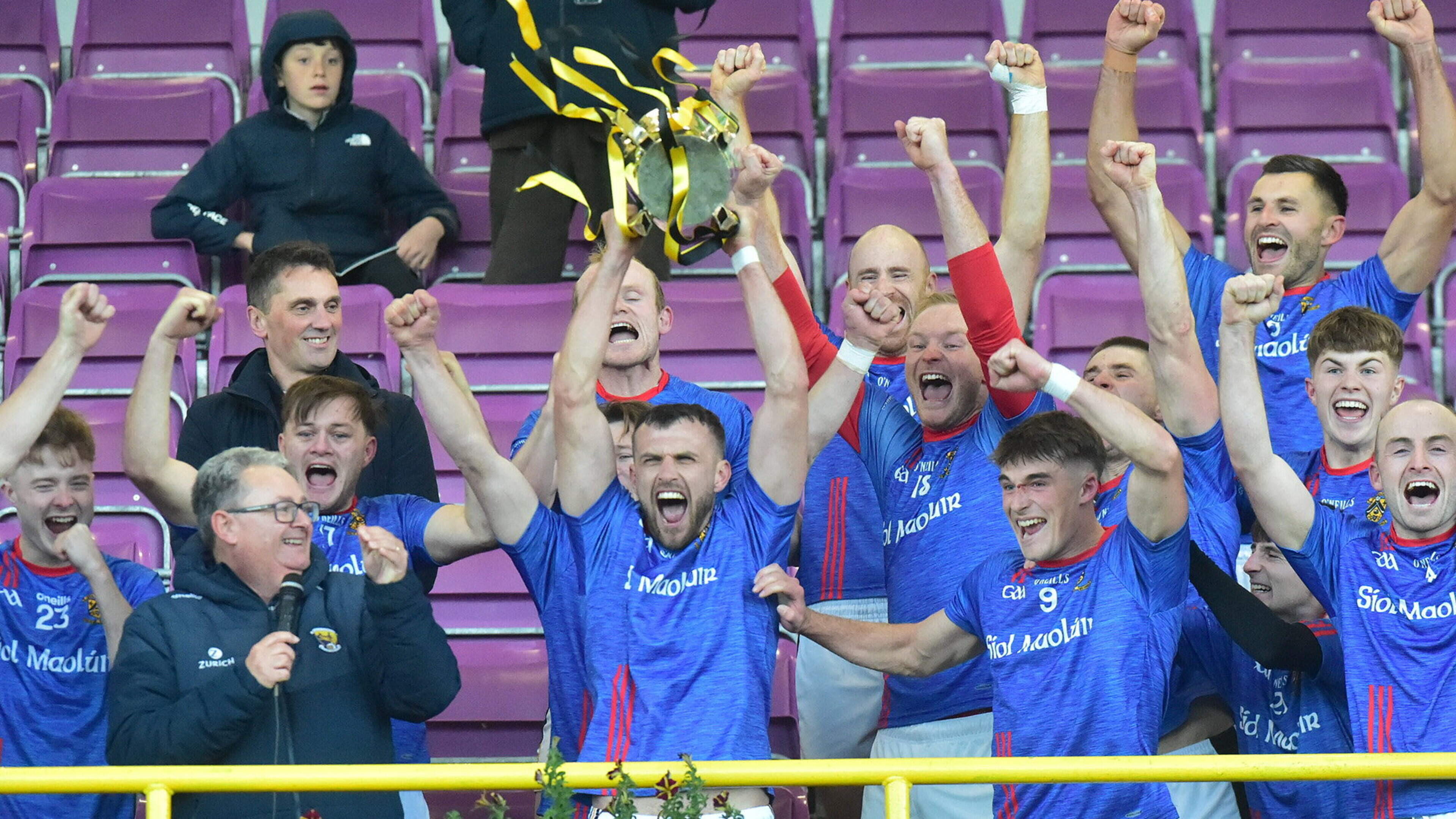 Shelmaliers hold on for deserved Wexford Senior hurling championship success in frantic finish against Rathnure